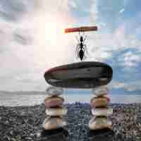 精﻿准﻿优​化﻿服‌务‍